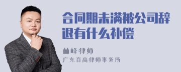 合同期未满被公司辞退有什么补偿