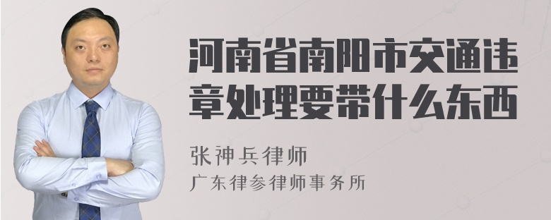 河南省南阳市交通违章处理要带什么东西