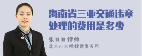 海南省三亚交通违章处理的费用是多少