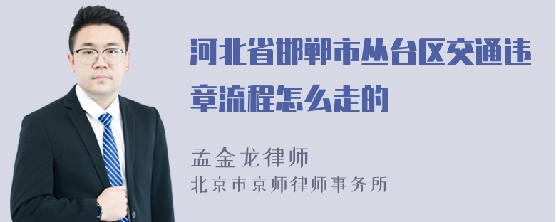 河北省邯郸市丛台区交通违章流程怎么走的