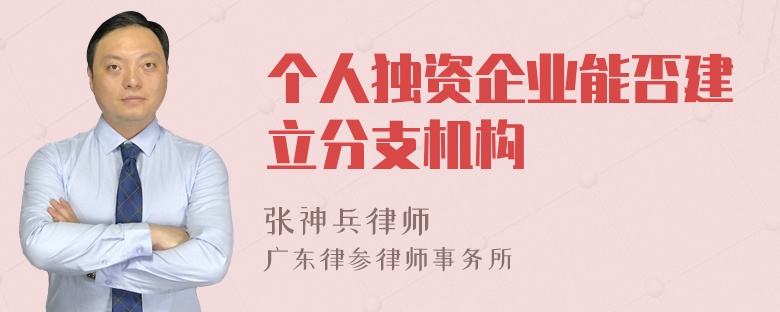 个人独资企业能否建立分支机构