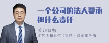 一个公司的法人要承担什么责任