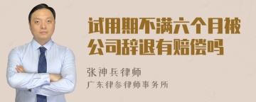 试用期不满六个月被公司辞退有赔偿吗