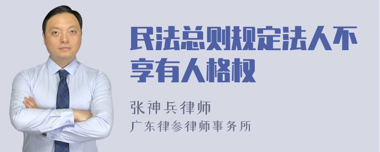 民法总则规定法人不享有人格权