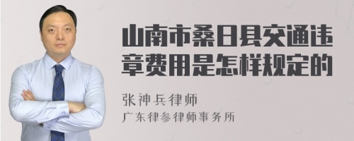 山南市桑日县交通违章费用是怎样规定的