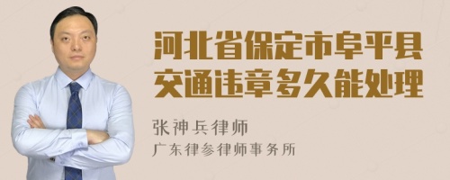 河北省保定市阜平县交通违章多久能处理