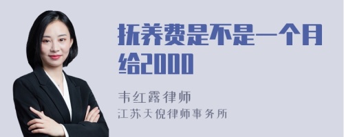 抚养费是不是一个月给2000