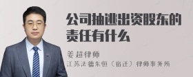 公司抽逃出资股东的责任有什么