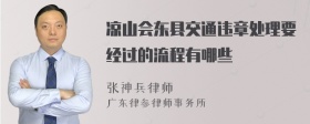 凉山会东县交通违章处理要经过的流程有哪些