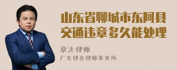 山东省聊城市东阿县交通违章多久能处理