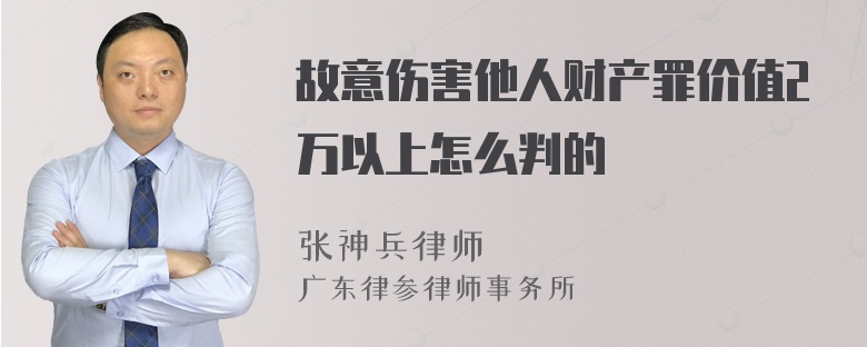 故意伤害他人财产罪价值2万以上怎么判的