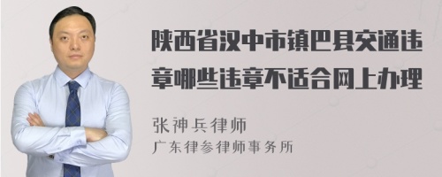 陕西省汉中市镇巴县交通违章哪些违章不适合网上办理