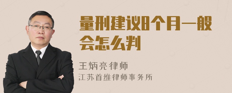 量刑建议8个月一般会怎么判