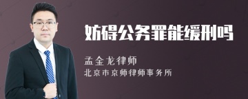 妨碍公务罪能缓刑吗