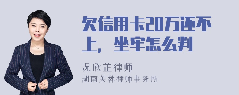 欠信用卡20万还不上，坐牢怎么判