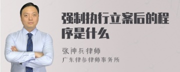 强制执行立案后的程序是什么