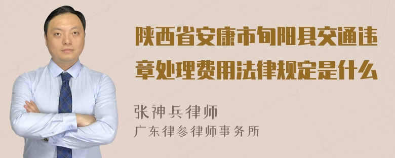 陕西省安康市旬阳县交通违章处理费用法律规定是什么