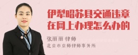 伊犁昭苏县交通违章在网上办理怎么办的