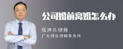 公司婚前离婚怎么办