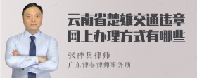 云南省楚雄交通违章网上办理方式有哪些