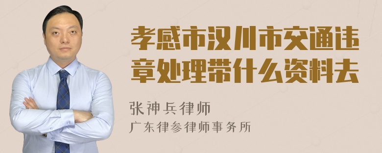 孝感市汉川市交通违章处理带什么资料去