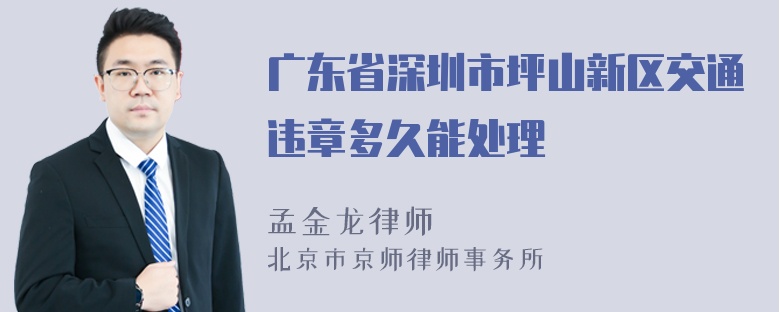 广东省深圳市坪山新区交通违章多久能处理