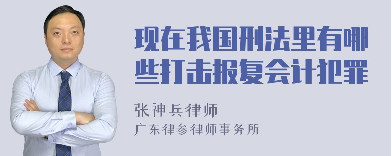 现在我国刑法里有哪些打击报复会计犯罪