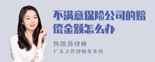 不满意保险公司的赔偿金额怎么办