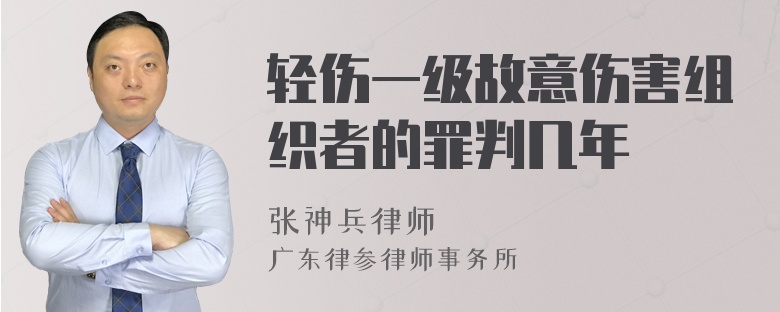 轻伤一级故意伤害组织者的罪判几年