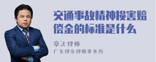 交通事故精神损害赔偿金的标准是什么