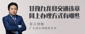 甘孜九龙县交通违章网上办理方式有哪些