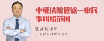 中级法院管辖一审民事纠纷范围