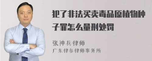 犯了非法买卖毒品原植物种子罪怎么量刑处罚