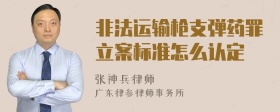 非法运输枪支弹药罪立案标准怎么认定