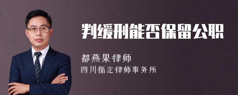 判缓刑能否保留公职