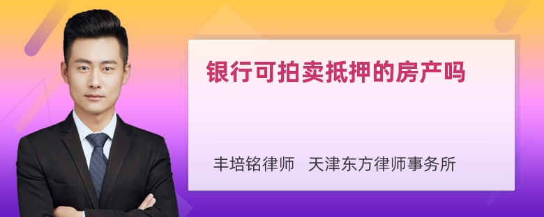 银行可拍卖抵押的房产吗