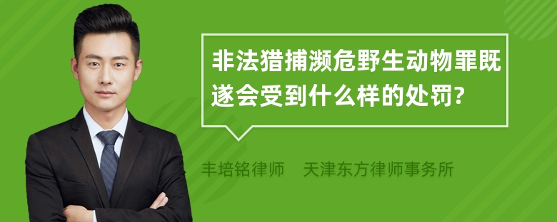 非法猎捕濒危野生动物罪既遂会受到什么样的处罚?