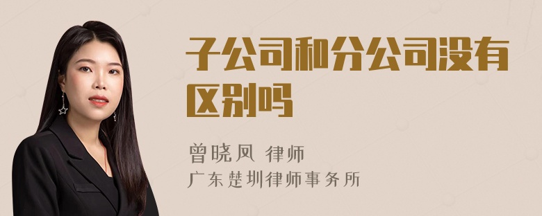 子公司和分公司没有区别吗