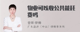 物业可以收公共能耗费吗