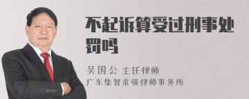 不起诉算受过刑事处罚吗