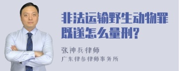 非法运输野生动物罪既遂怎么量刑?