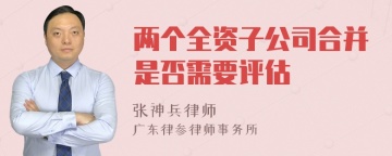 两个全资子公司合并是否需要评估