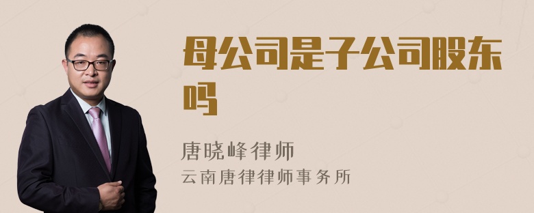 母公司是子公司股东吗