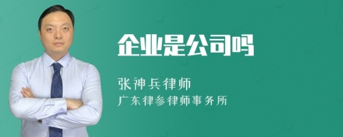 企业是公司吗