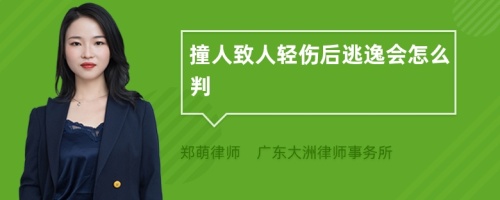 撞人致人轻伤后逃逸会怎么判