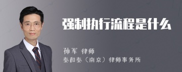 强制执行流程是什么