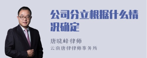 公司分立根据什么情况确定