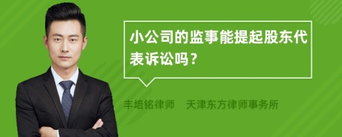 小公司的监事能提起股东代表诉讼吗？