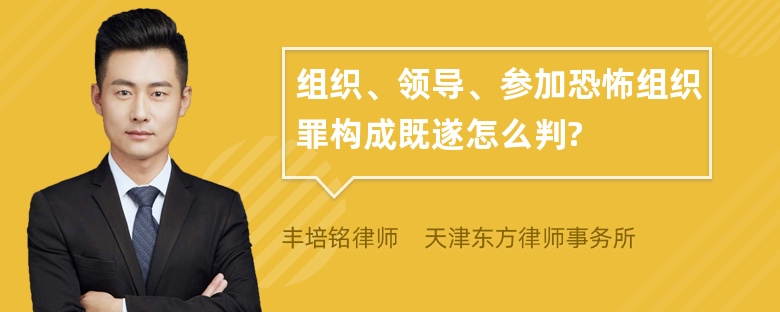 组织、领导、参加恐怖组织罪构成既遂怎么判?