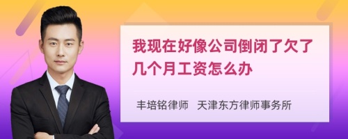 我现在好像公司倒闭了欠了几个月工资怎么办